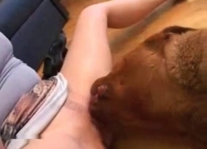 Great amateur bestiality action with a nice zoofil