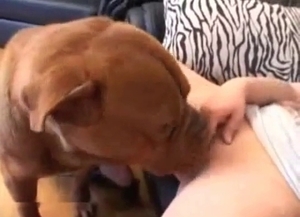 Great amateur bestiality action with a nice zoofil