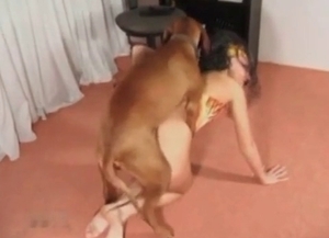 Man gets his cock sucked off by a lovely little pup