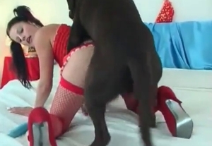 Hot babe with red fishnets screwing with a black dog