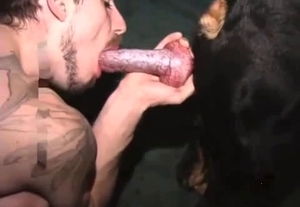 Nasty fellow is giving a blowjob to a lovely animal