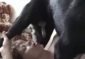 Incredible slut is banged hard by an animal