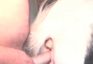 This video features a really fucking hot bestiality action