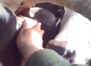 Cow gets fingered and it's an impressive scene