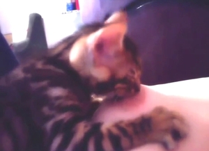 Kitty is going to be obsessed with that titty too