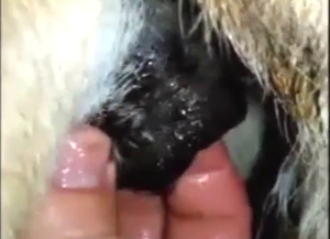 Deep and hard fingering for a seductive beast