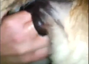 Deep and hard fingering for a seductive beast