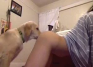 Crazy fuck with an Asian girl taking dog peen