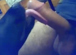 Dog is going to lick that dude's boner for fun